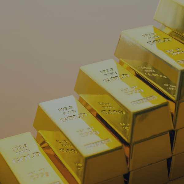 VON GREYERZ Gold gains against all major currencies in Q1 2009