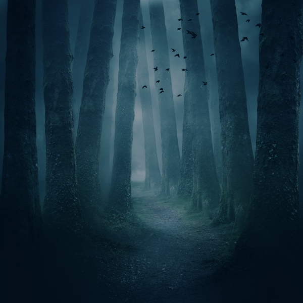 VON GREYERZ THE DARK YEARS ARE HERE