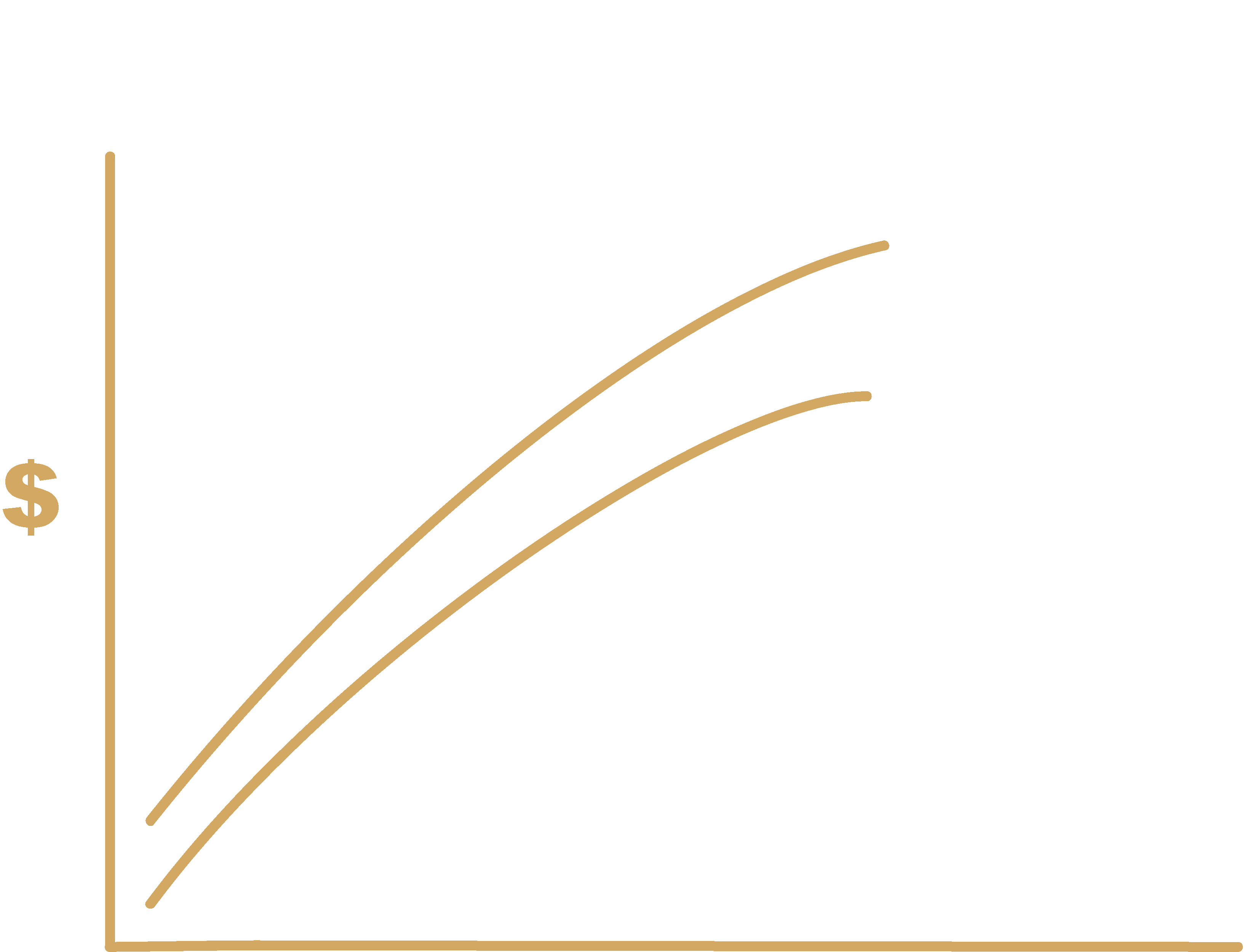 Markets Follow Money Printers