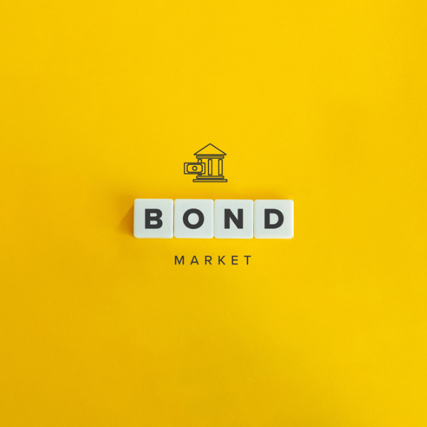 VON GREYERZ US_Hegemony vs. Bond Market Reality
